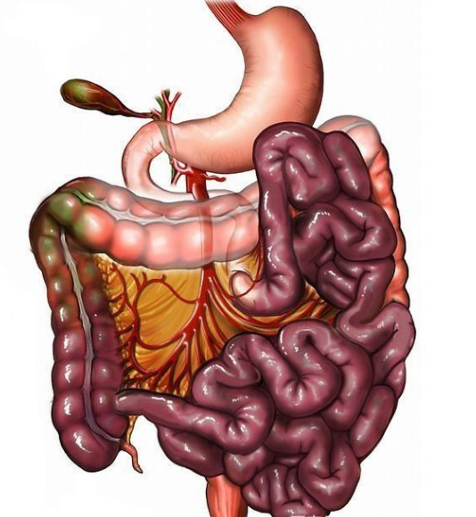 腸息肉者，排便出現(xiàn)3個異常，十有八九息肉已變成“癌”