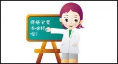 武鳴區(qū)哪個(gè)醫(yī)院專(zhuān)治痔瘡